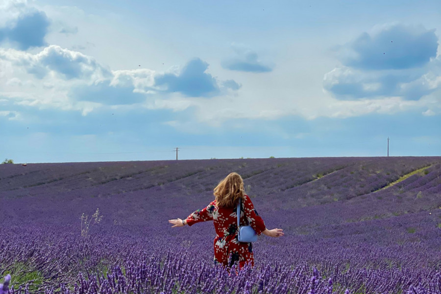 KADA JE PRAVO VREME ZA SAĐENJE LAVANDE? Detaljno uputstvo da ulepšate život lepotom i opojnim mirisom