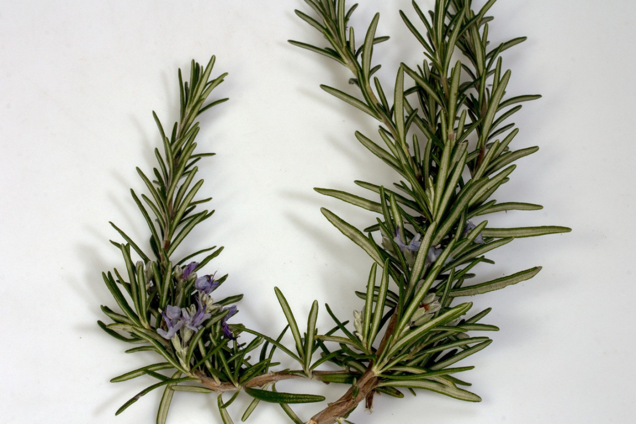 OŽIVITE KOSU UZ JEDNOSTAVAN RECEPT! Tajni sastojak vam je na dohvat ruke