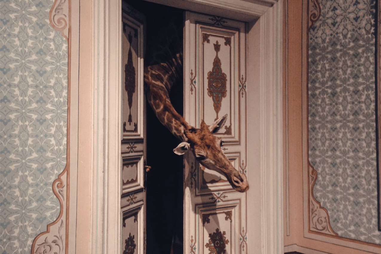 PROVERITE KOJA STE KLASA: Čak i zvono na vratima može da otkrije koliko ste otmeni