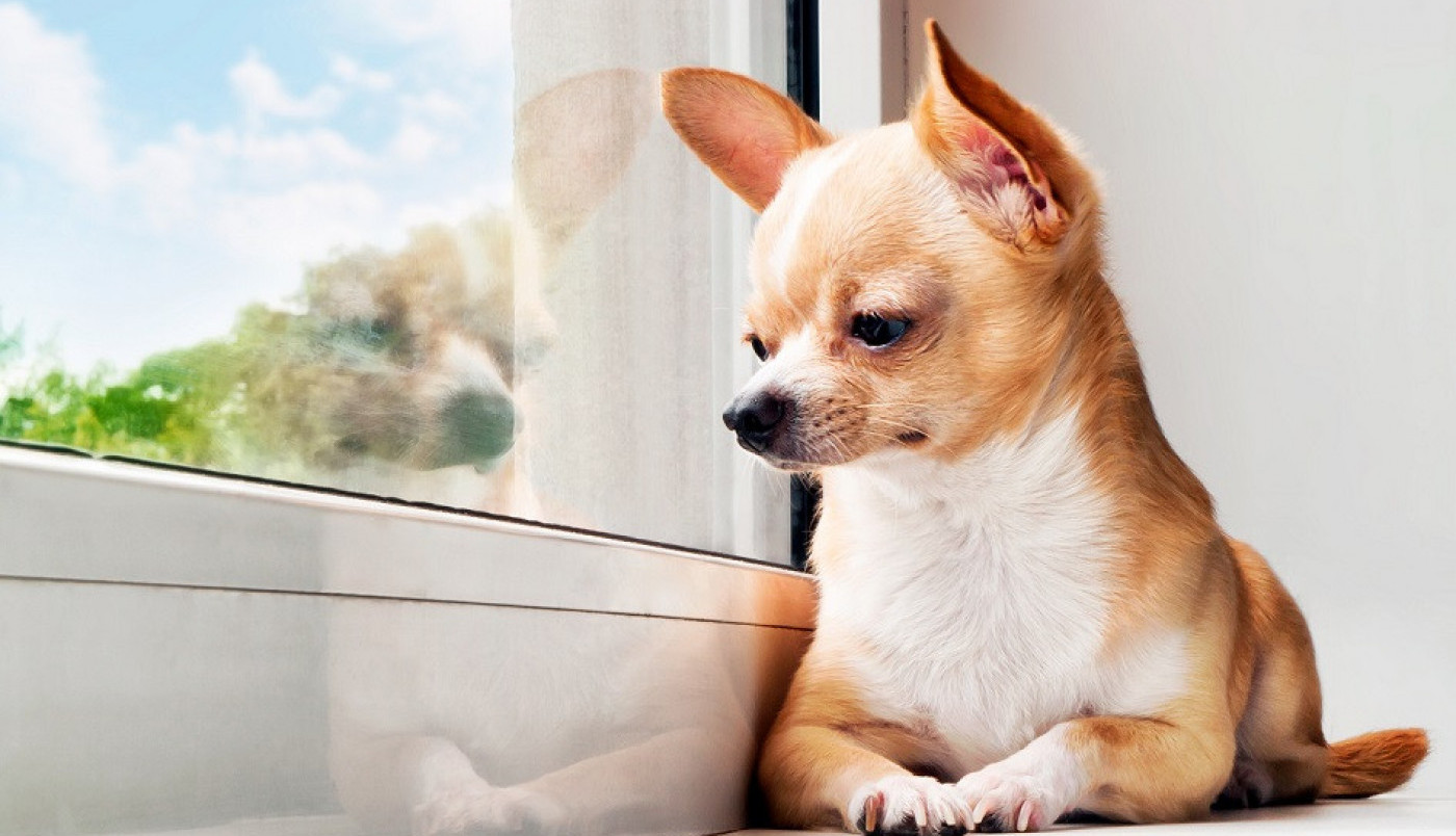 Šta vama danas okupira misli?