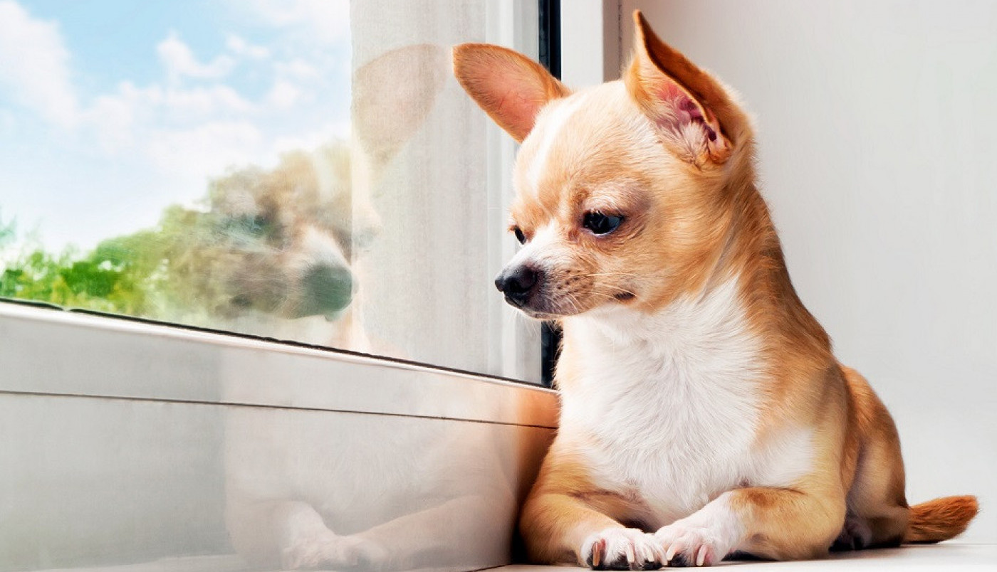 Šta vama danas okupira misli?