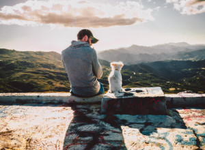 7 ČUDNIH PONAŠANJA PSA: Evo šta žele da nam poruče