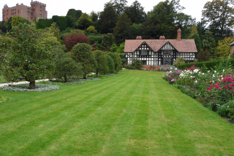 DVORIŠTE KAO IZ BAJKE: Jednostavni koraci kako da zasadite savršen TRAVNJAK!