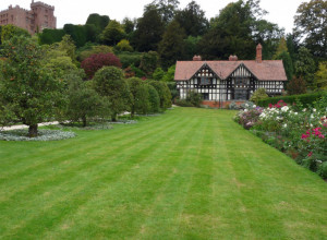 DVORIŠTE KAO IZ BAJKE: Jednostavni koraci kako da zasadite savršen TRAVNJAK!