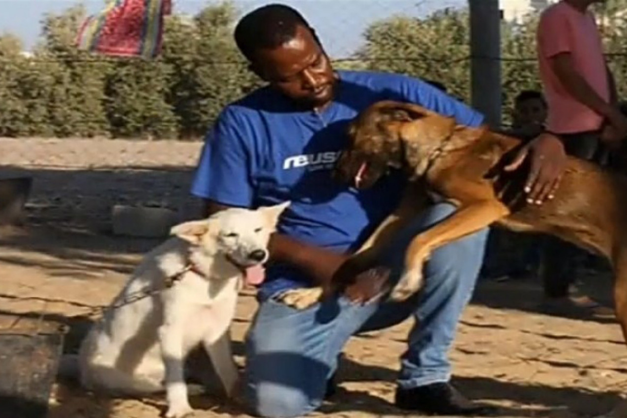 OVAJ ČOVEK ČUVA 350 PASA I 70 MAČAKA! Njegova priča rasplakala je svet, a evo kako i gde živi!