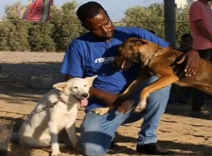 OVAJ ČOVEK ČUVA 350 PASA I 70 MAČAKA! Njegova priča rasplakala je svet, a evo kako i gde živi!