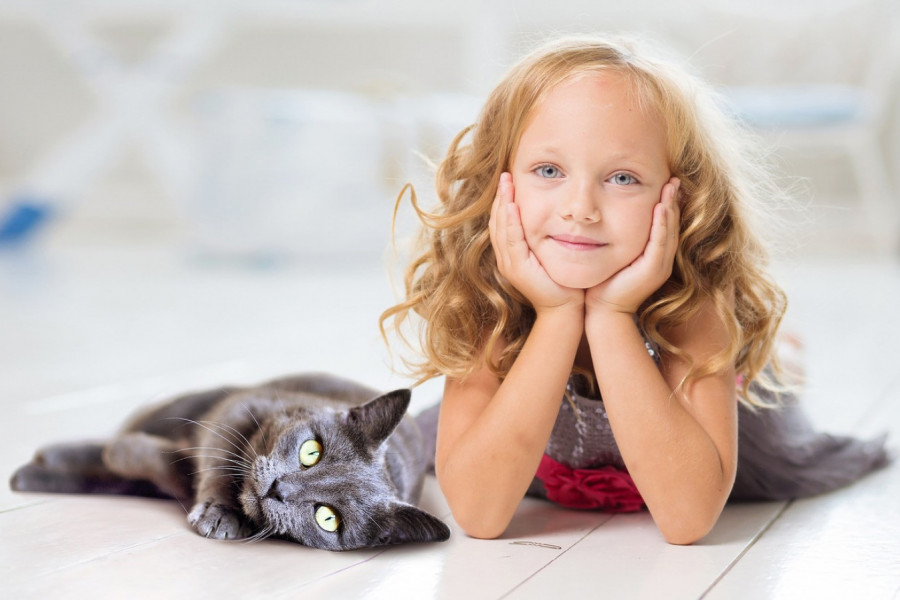 AKO RADITE OVO VAŠA MAČKA ĆE VAS RAZUMETI: Sa njima se i te kako može komunicirati i to veoma lako!