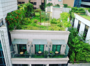 JEDNOSTAVNIM TRIKOVIMA PRETVORITE TERASU U VRT IZ BAJKE! Evo kako da to učinite!