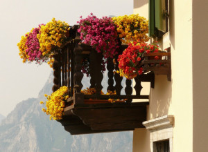 OD OVA DVA SASTOJKA CVEĆE ĆE VAM RASTI KAO LUDO! Morate probati, sastojke imate u kući!