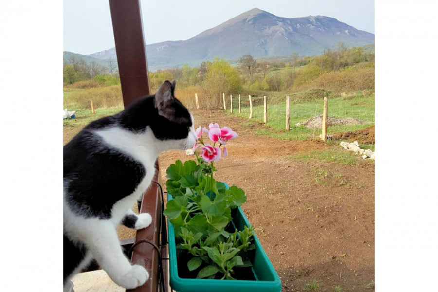 Sreća je u malim stvarima. Zato zastanite i uživajte!