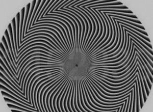 OPTIČKA ILUZIJA ZBUNILA SVE REDOM! Koji vi broj vidite u centru kruga?