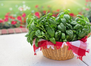 OTKLANJA NERVOZU I SPASAVA SRCE: Ovo je kraljevski prirodni lek, a evo ko nikako ne sme da ga koristi!