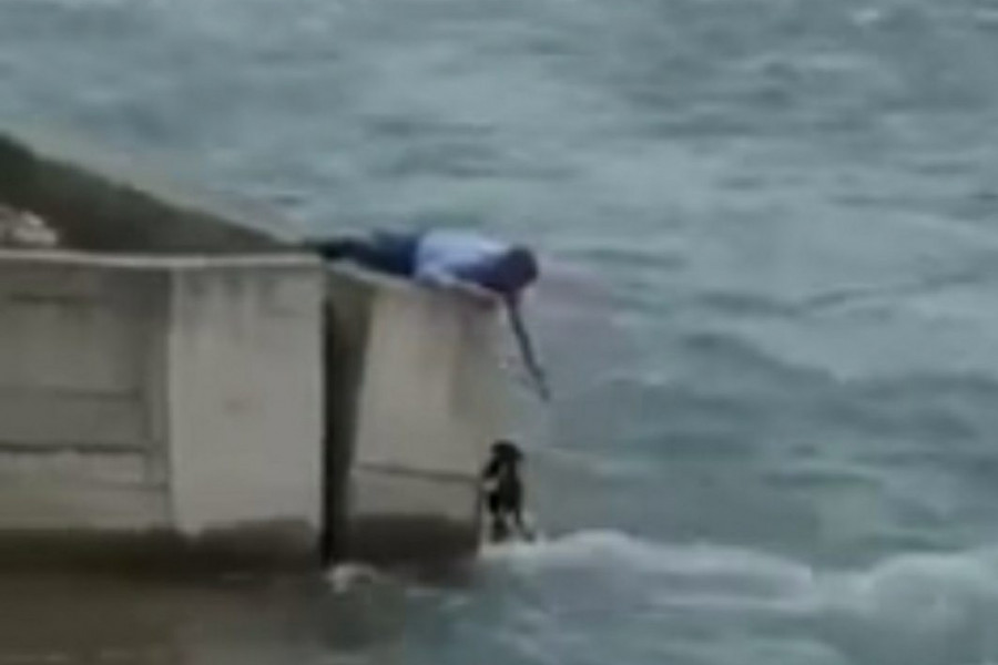 SA SVADBE U REKU:  Pogledajte kako svat spasava psa iz nabujalog Lima (VIDEO)