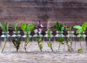 MIRISI UMESTO LEKOVA: Ovih 6 eteričnih ulja su odlični u borbi protiv alergija