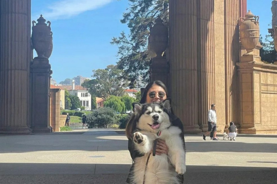 PSA NE MOŽEŠ PREVARITI: Evo šta se desi kada maskirani prođete pored njega (VIDEO)