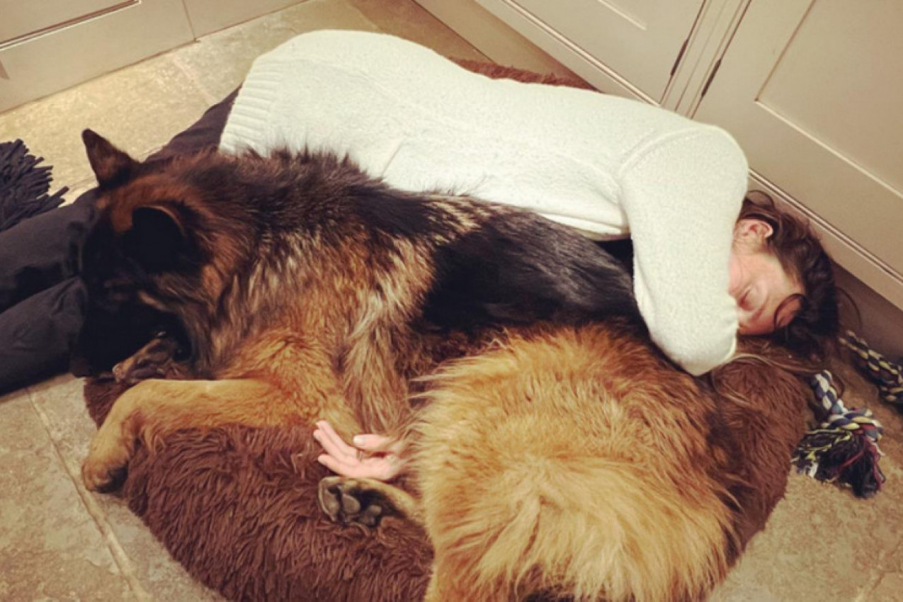 POLA MILIONA PREGLEDA ZA TRUDNU ALJKAVUŠU: Radije ću deliti pseći krevet nego obući haljinu!