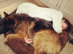 POLA MILIONA PREGLEDA ZA TRUDNU ALJKAVUŠU: Radije ću deliti pseći krevet nego obući haljinu!