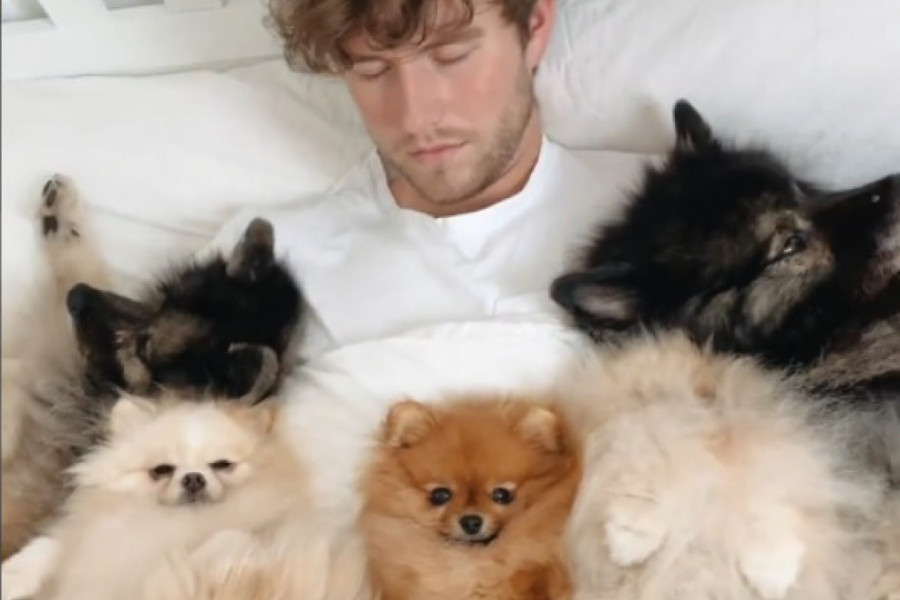 SA PSIMA U KREVETU: Ovakav luksuz retko koji čovek može da priušti (VIDEO)