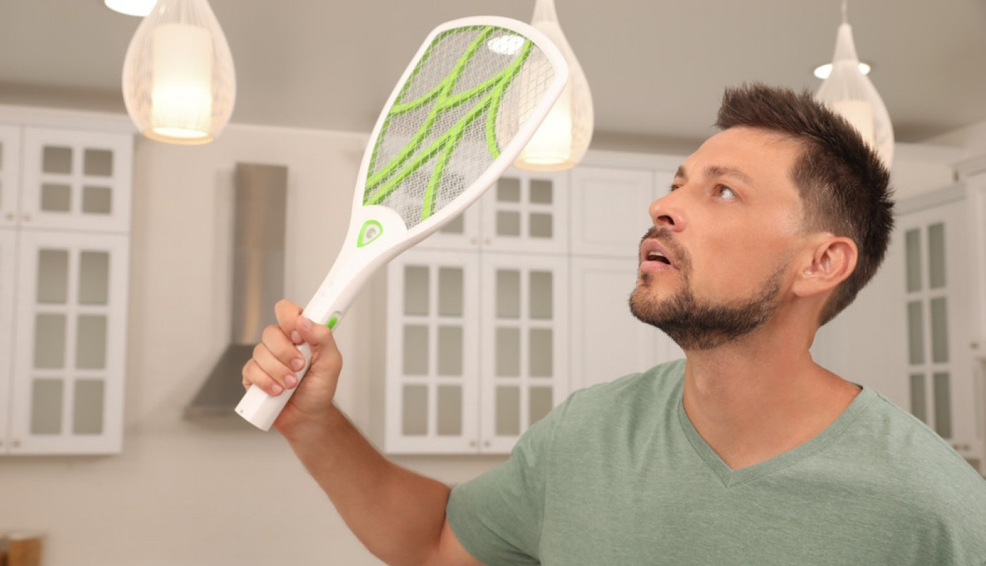 Ovog leta NIKAKO NE UBIJAJTE MUŠICE I OSE u vašoj kući! Neobično upozorenje eksperata izazvalo salve pitanja, evo o čemu se radi!