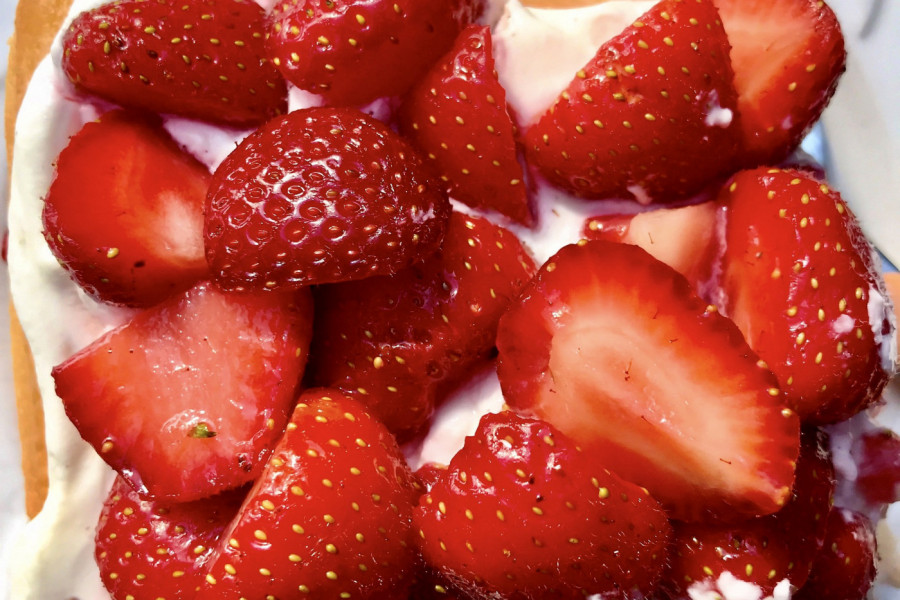 RECEPT ZA PAMĆENJE: Brz kolač od jagoda i keksa!