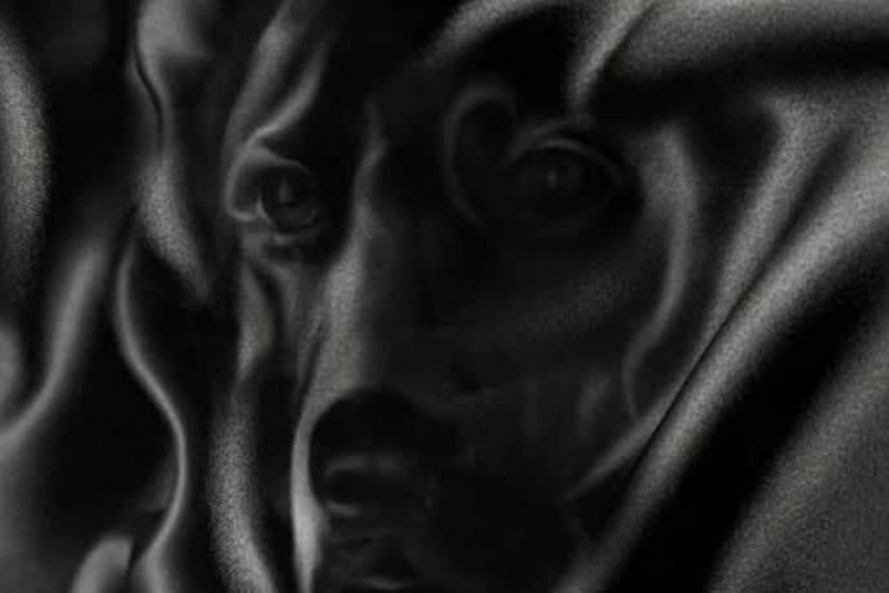 DA LI STE ROĐENI LIDER? Pogledajte u ovu fotografiju i sve će vam se kazati!