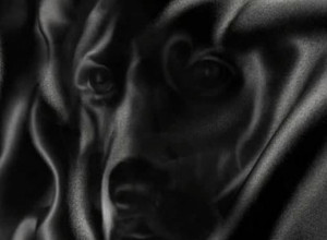 DA LI STE ROĐENI LIDER? Pogledajte u ovu fotografiju i sve će vam se kazati!