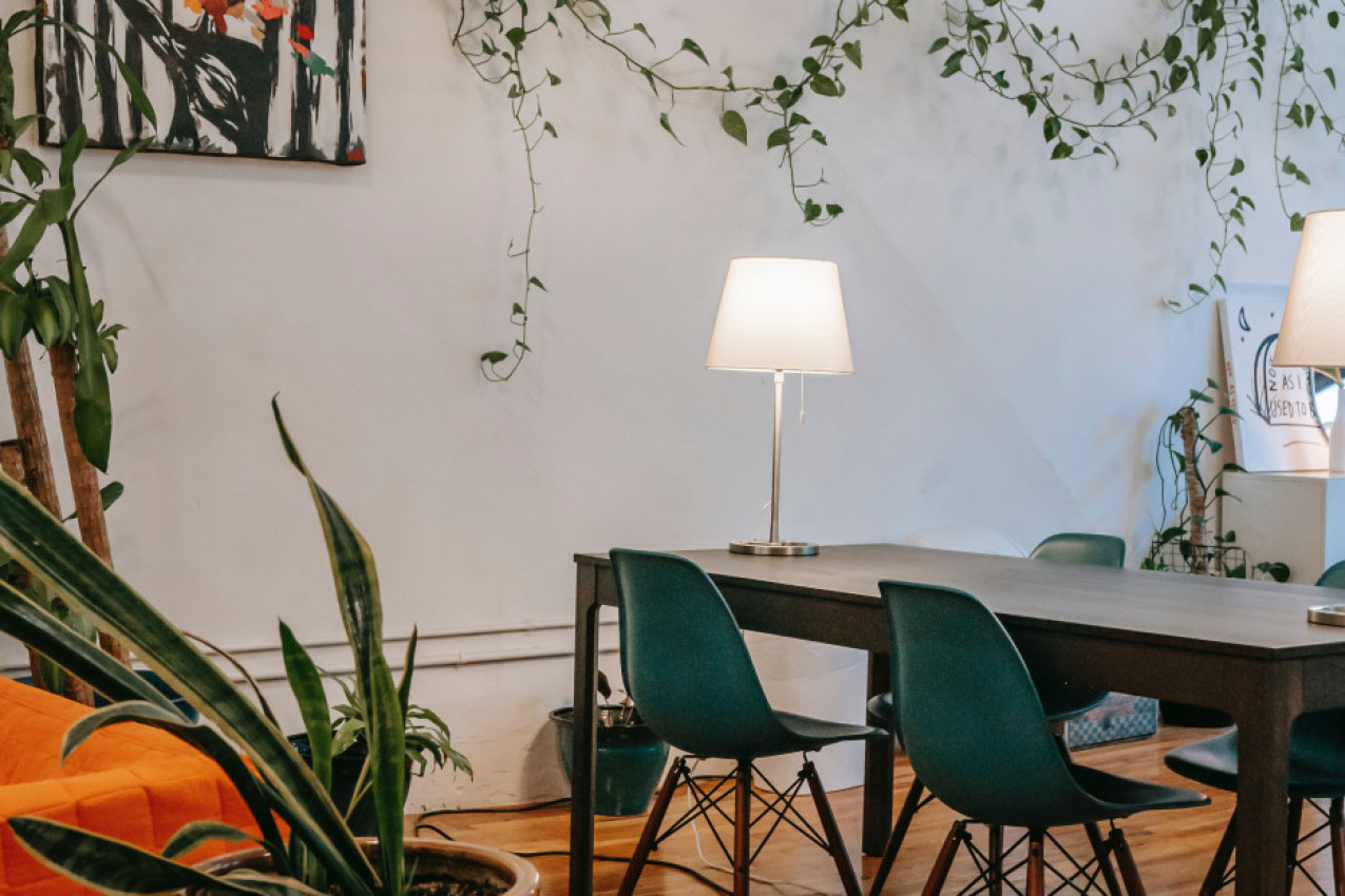 PRIZIVAJU NESREĆU I SIROMAŠTVO: Odmah izbacite ovih 5 stvari iz doma ako uopšte želite da vam u životu krene! (FOTO)