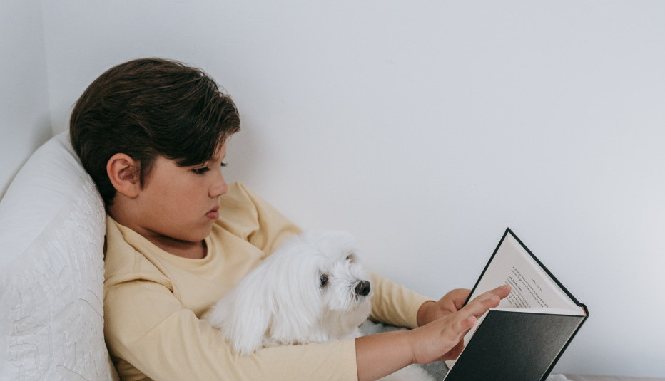 Sve što bi trebalo da znate o MALTEZERIMA: Da li je i koliko ova rasa pasa dobra za porodicu sa decom