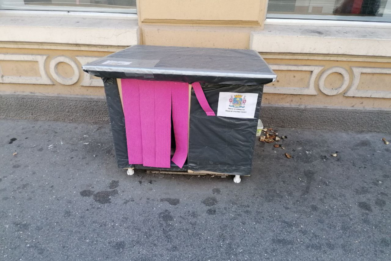 Evo kako je završila najpoznatija zemunska lutalica! Priča koja DIRA PRAVO U SRCE!