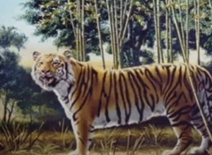 Da li vidite drugog tigra? Samo JEDAN ODSTO ljudi to može!