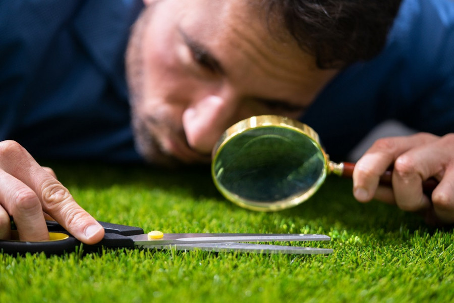 SAVRŠEN TRAVNJAK za žurku: Stručnjak otkriva tajnu kojom se služe profesionalci