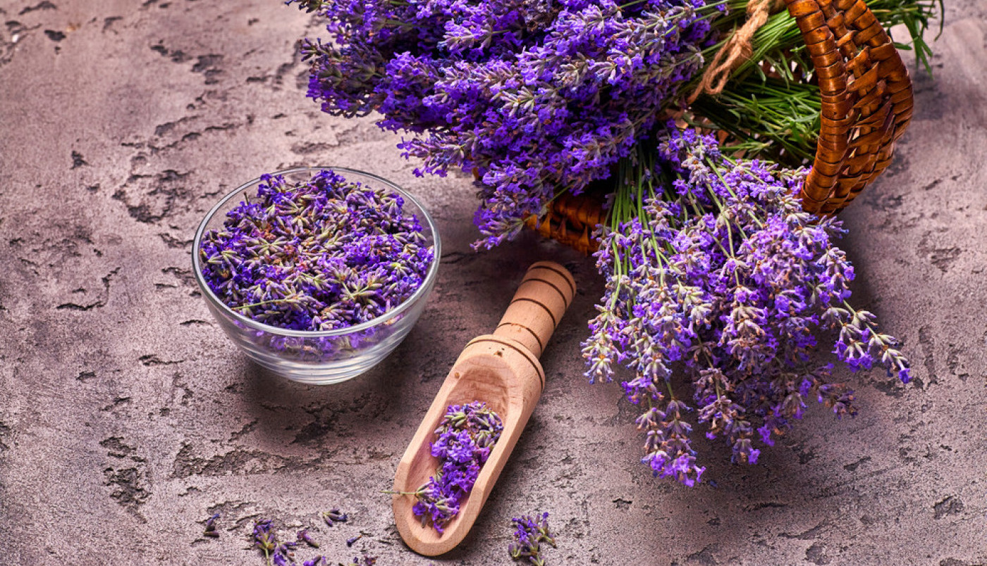 RECEPTI ZA PRIRODNE LEKOVE: Lavanda leči nesanicu i opekotine, a i tera komarce
