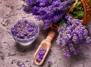 RECEPTI ZA PRIRODNE LEKOVE: Lavanda leči nesanicu i opekotine, a i tera komarce