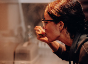 OVAKO SVI JEDEMO PIRINAČ, A U JAPANU JE TO STROGO ZABRANJENO! (VIDEO)