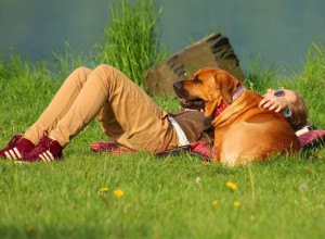 5 KOBNIH GREŠAKA KOJE RADE VLASNICI PASA! Veterinar upozorava: Dve mogu da dovedu u opasnost i život vašeg ljubimca!