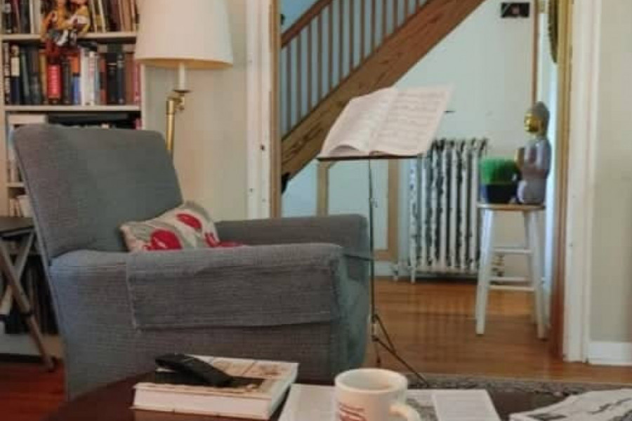 DA LI VIDITE MAČKU? Fotografija koja je zapalila društvene meže (FOTO)