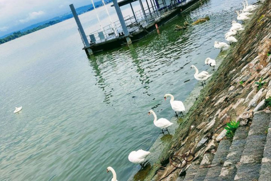 Cela družina na okupu!