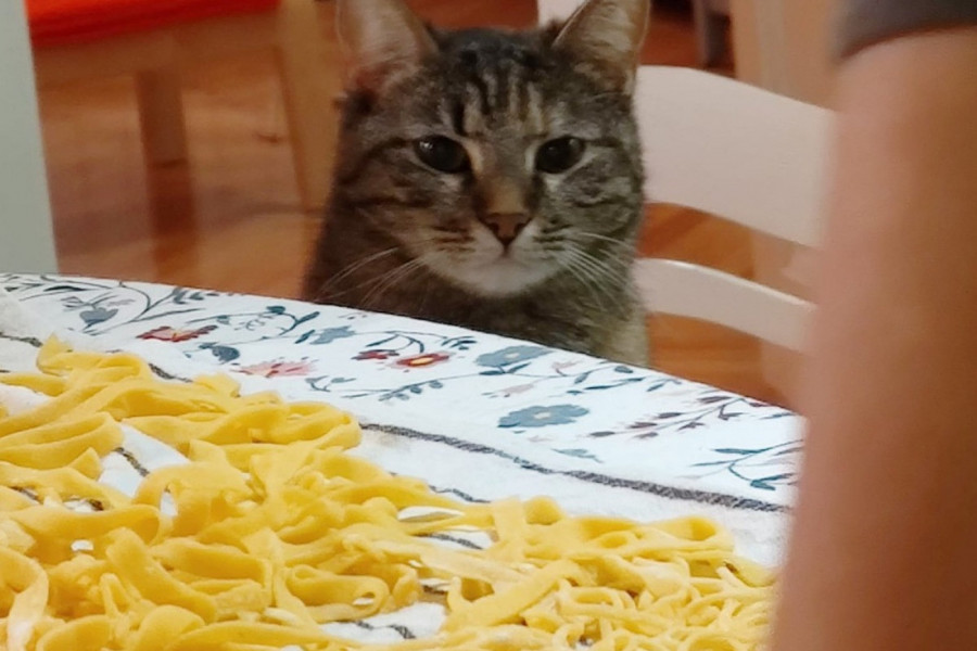 Svaka pomoć u kuhinji je dobro došla