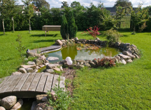 MALI RAJ u dvorištu: Napravite malo dekorativno jezero