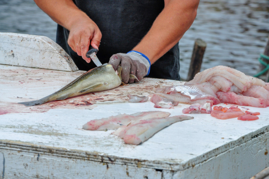 Očistite ribu u samo JEDNOM POTEZU: Trik koji ćete obožavati!