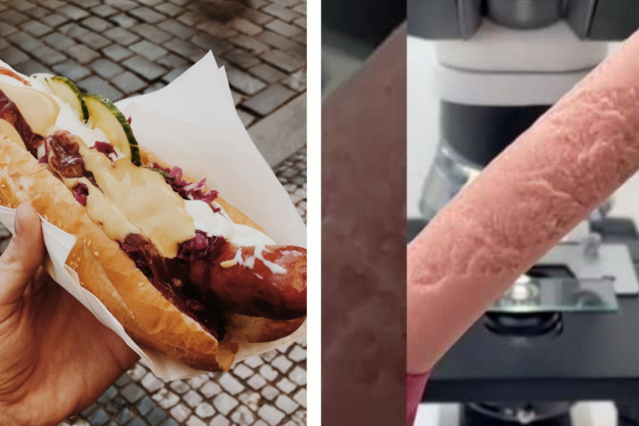 Objavljen šokantan snimak mikroskopskog prikaza viršli! Zbog onog što je zabeleženo zapitaćete se dvaput da li ćete ih ponovo jesti!