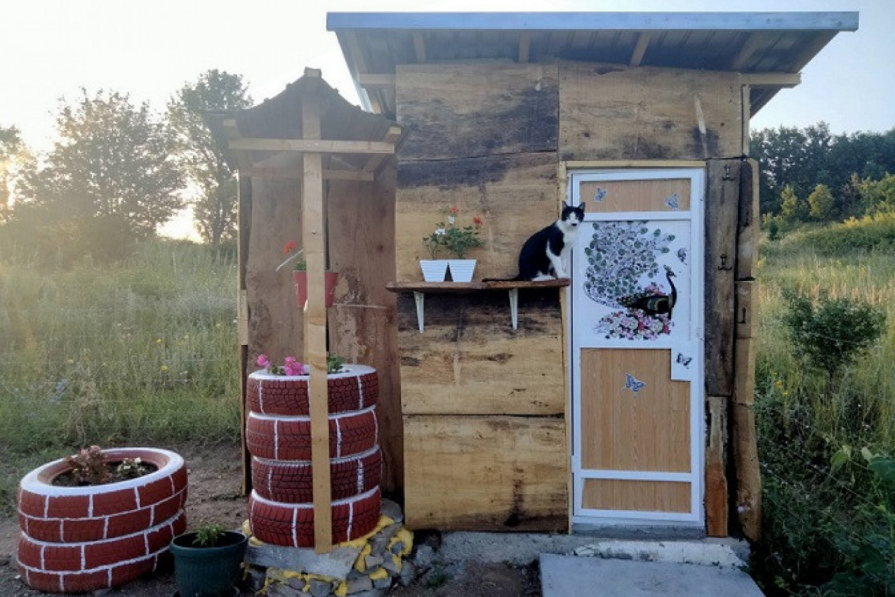 Mačka uvek nađe najbolju poziciju za osmatranje i uživanje