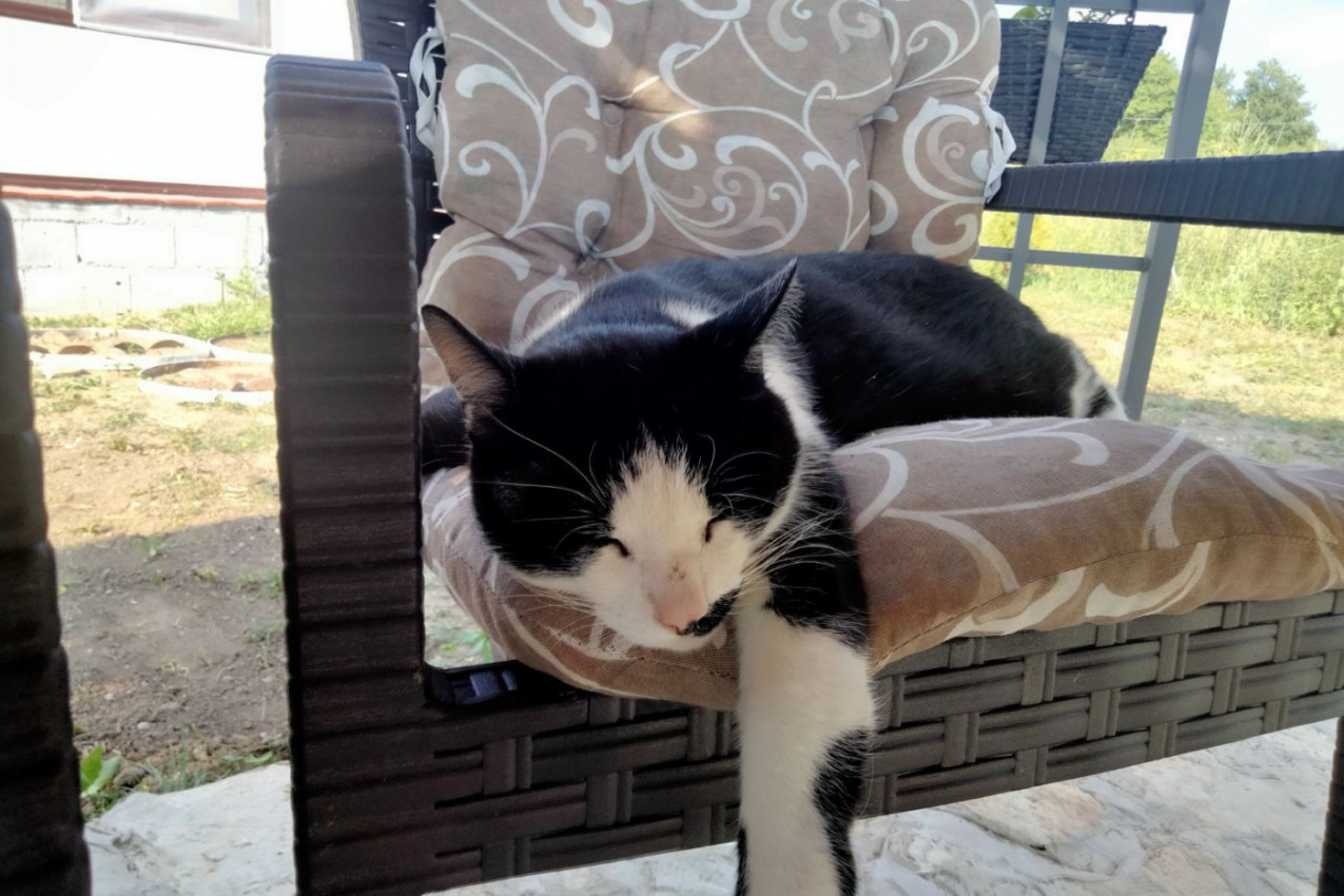 Ne verujem da neko može da uživa više od mene