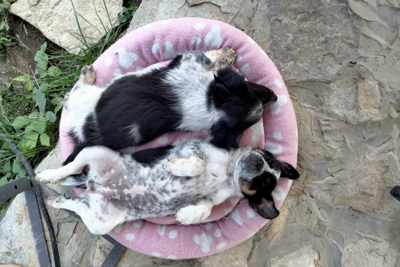 Zračimo ljubav i dok spavamo