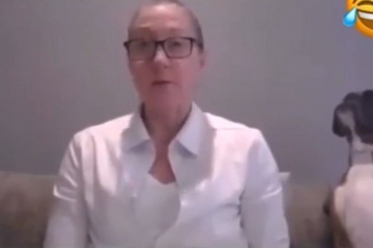 Zvezda ONLAJN NASTAVE: Ona nema decu, ali ima psa koji je prekida! (VIDEO)