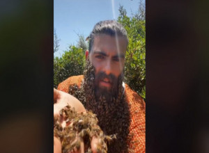 Da li je ovo najhrabriji čovek na svetu? Nosi stotine PČELA na licu (VIDEO)