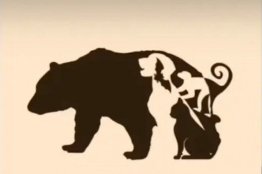 SAMO 1 ODSTO ljudi može da uoči sve ŽIVOTINJE na slici! Optička iluzija koja je ZALUDELA svet!