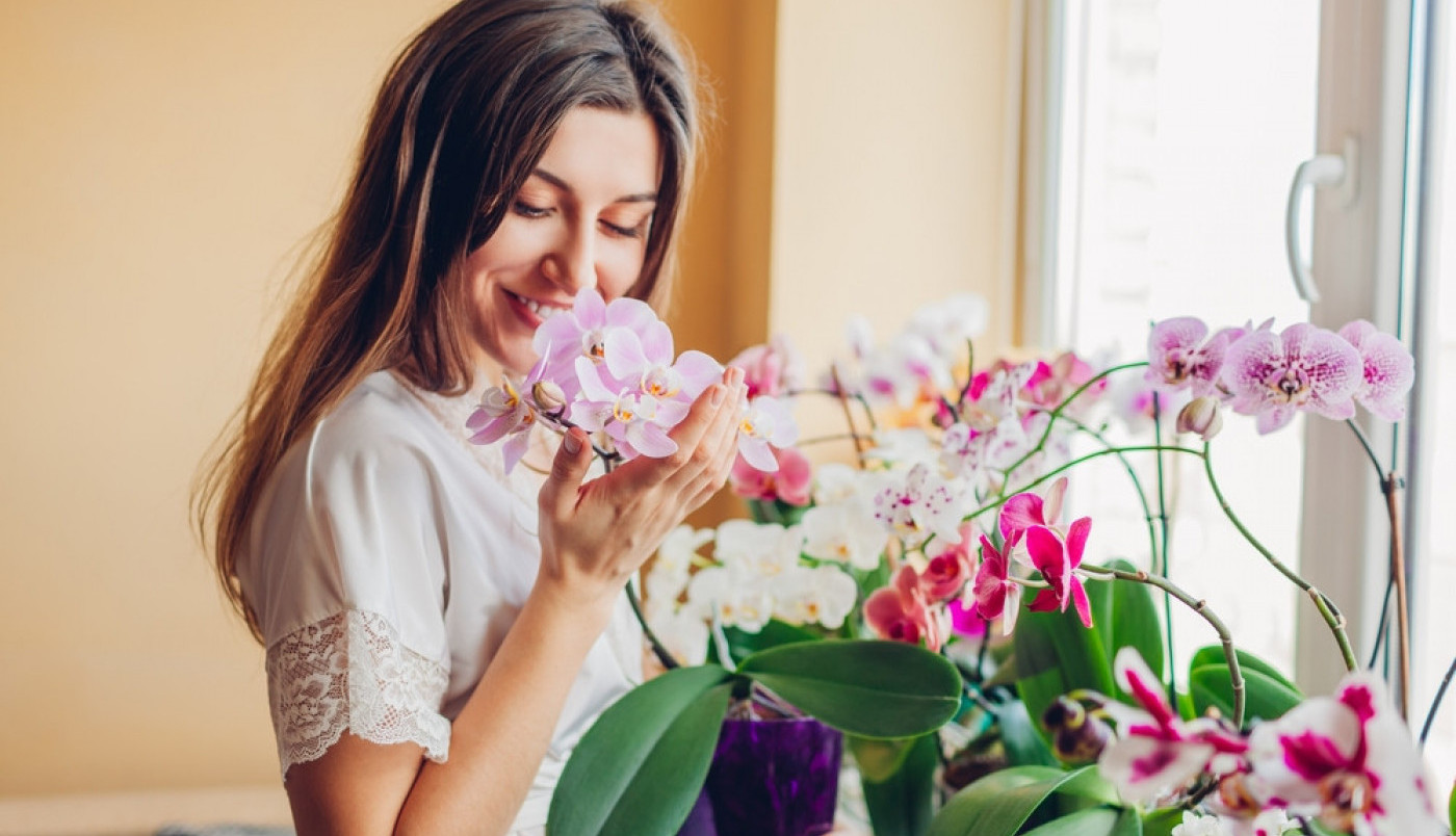 BILJKE KOJE DONOSE LJUBAV, ZDRAVLJE I SREĆU! Ukrasite njima svoj dom i NOVAC ĆE "PADATI S NEBA"!