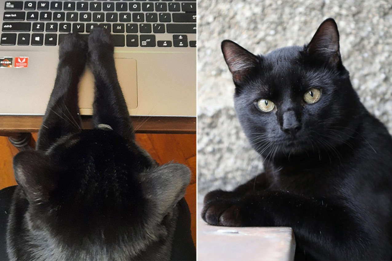 Bez uznemiravanja, molim!