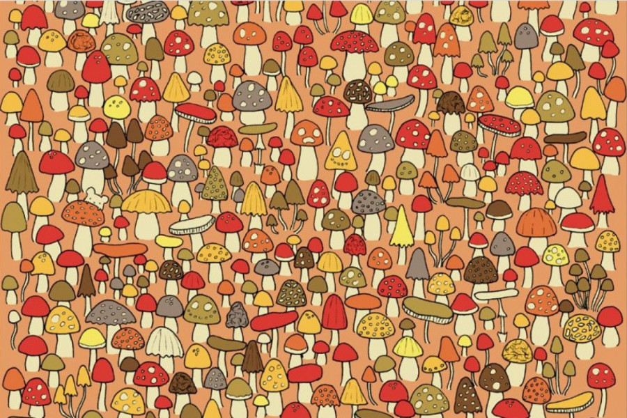 Možete li ovde da pronađete miša za 20 sekundi? Ako je odgovor "da", evo šta to govori o vama!